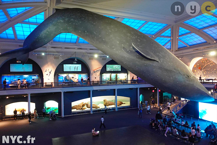 The best deals for museum visits in New York
