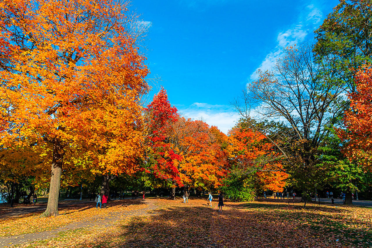 Brooklyn’s nature side: iconic parks and cultural discoveries