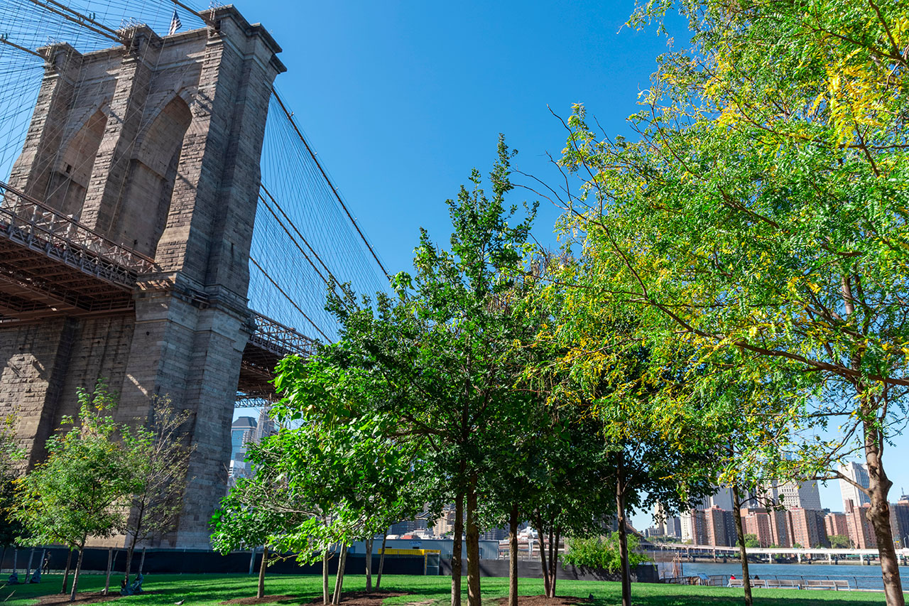DUMBO: the intersection of art, technology, and breathtaking views
