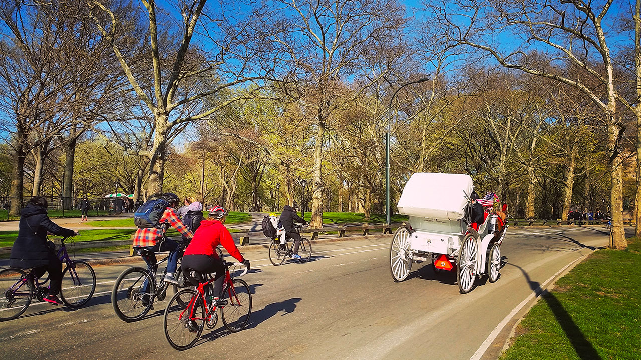 New York with Family: essential guide for a successful vacation