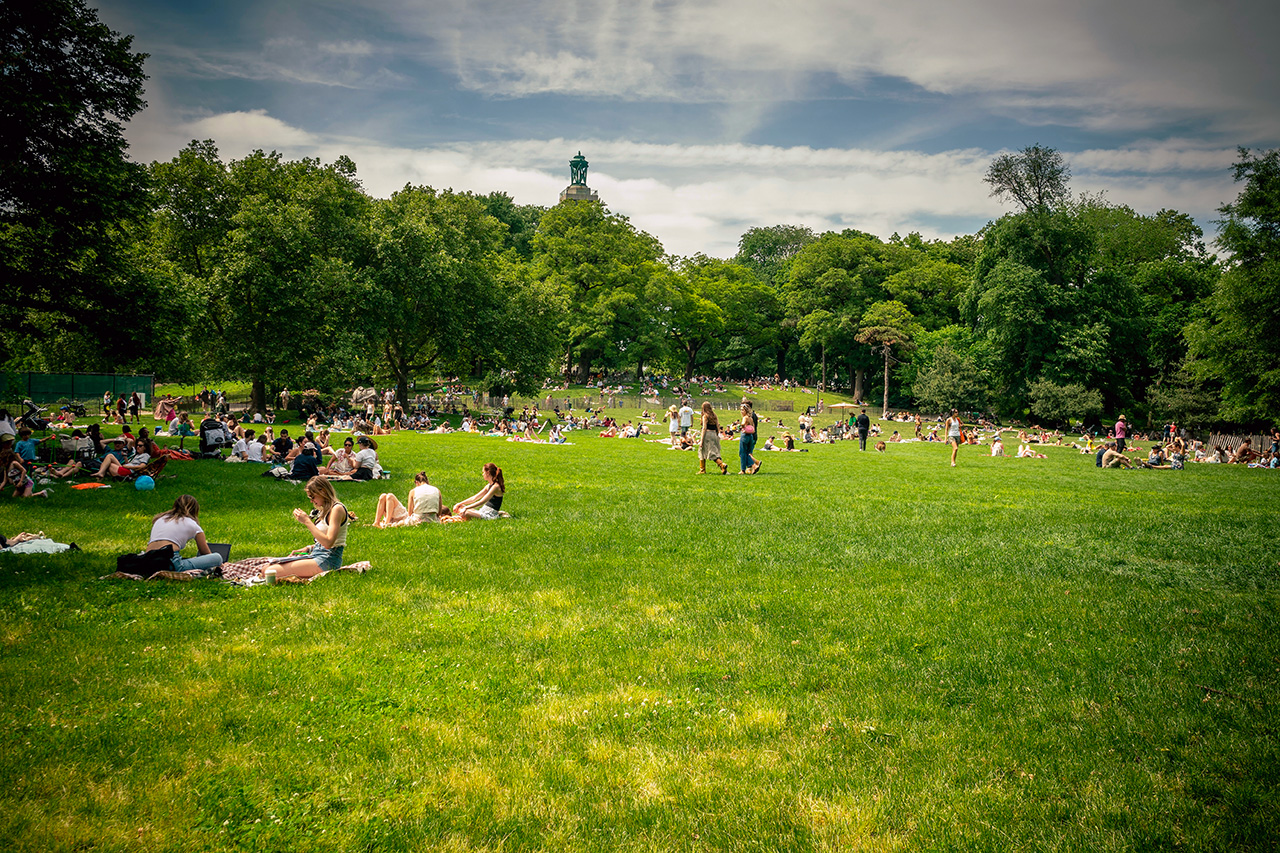 Credit Photo rblfmr via Shutterstock
Fort Green Park Brooklyn Park New York